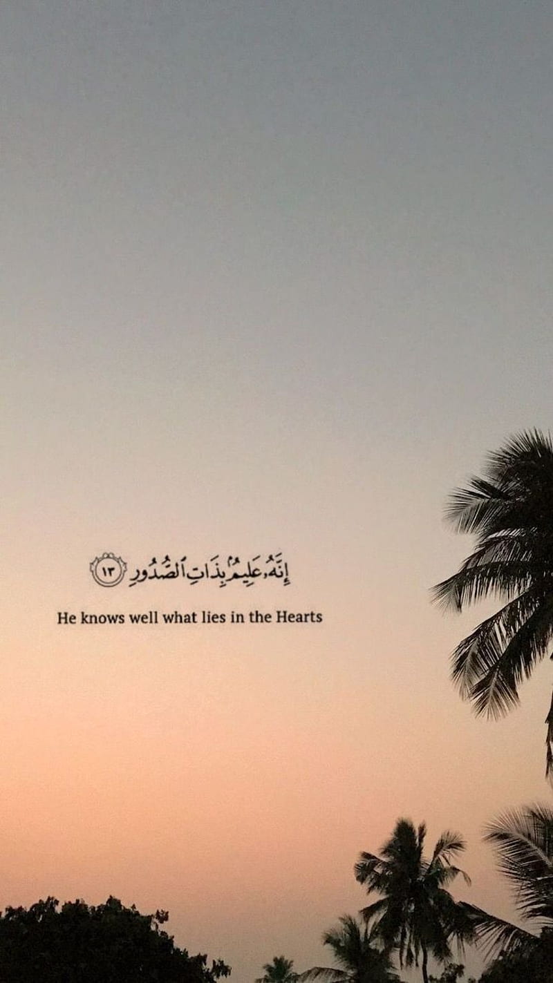 ¡QÃ¹Ã´Å¥Ã«Åâ¡, Quran Verses, HD phone wallpaper